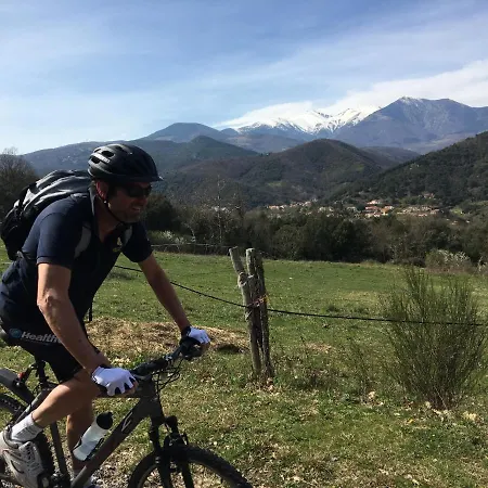 Bonheur Vallespir