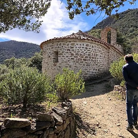 Bonheur Vallespir Bed & Breakfast