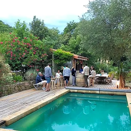 Bonheur Vallespir Ceret