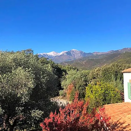 Bed and breakfast Bonheur Vallespir Céret